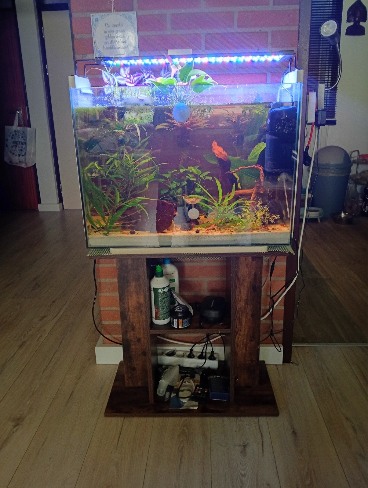 superfish home 80 incl garnalen, Ophalen, Leeg aquarium