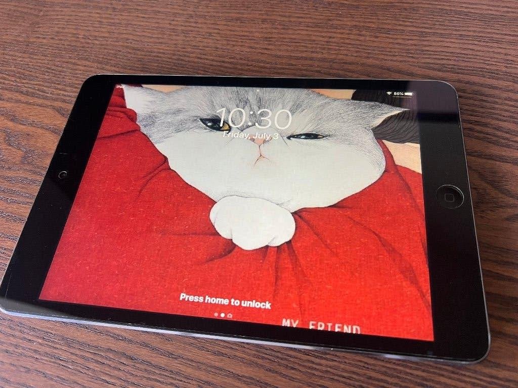Apple iPad mini 2 – goede staat – werkt prima, Computers en Software, Apple iPads, Gebruikt, Apple iPad, 8 inch, Ophalen of Verzenden