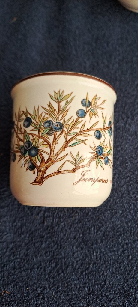 Villeroy en Boch juniperus communis, Ophalen of Verzenden, Gebruikt