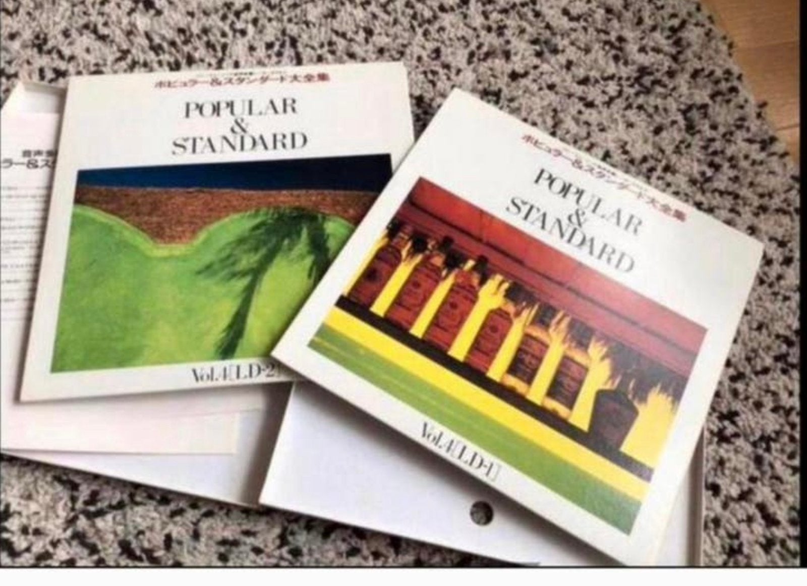 2x LaserDisck Populair en Standaard 🌺 2 platen iper doos, Ophalen of Verzenden, Zo goed als nieuw, Overige formaten