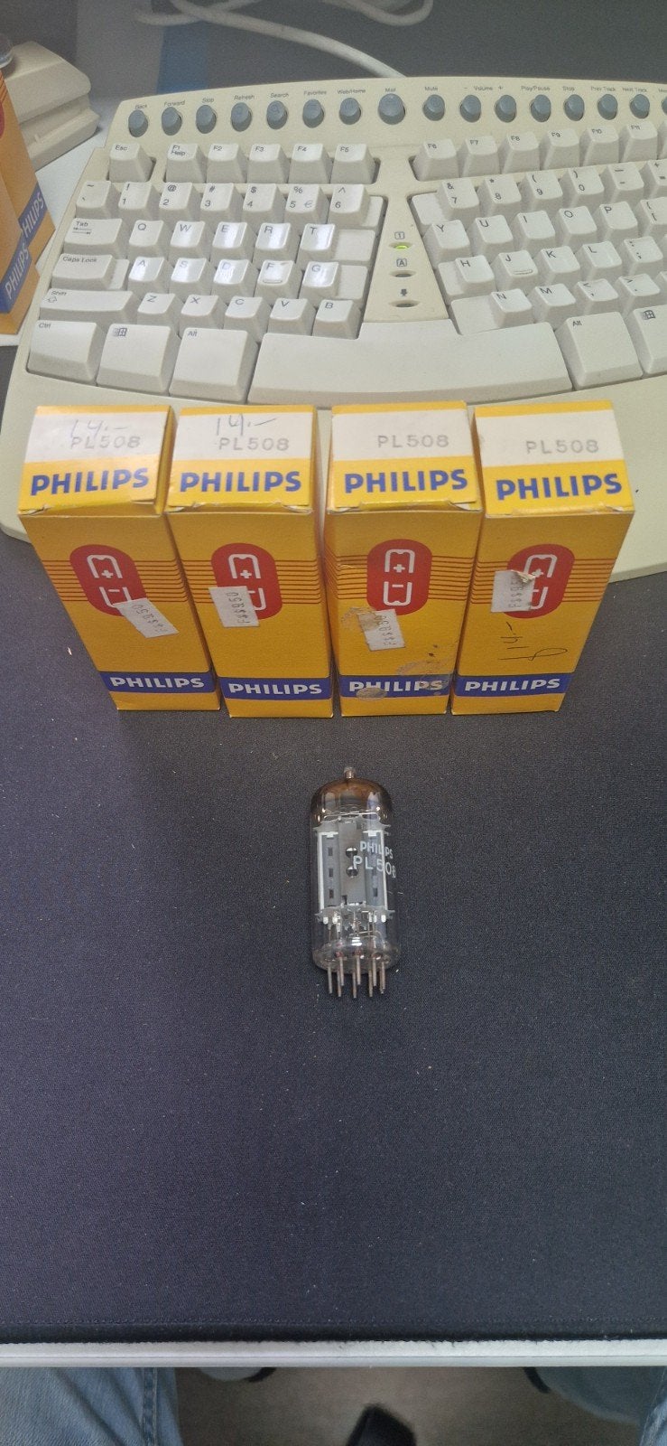 Philips PL508 Elektronenbuis - Nieuw in Doos, Ophalen of Verzenden, Zo goed als nieuw