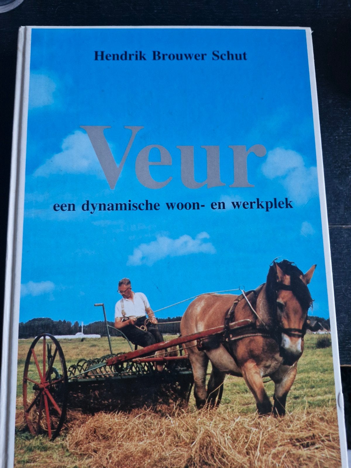 veur.  leidschendam.  hendrik Brouwer Schut., Ophalen of Verzenden, Zo goed als nieuw