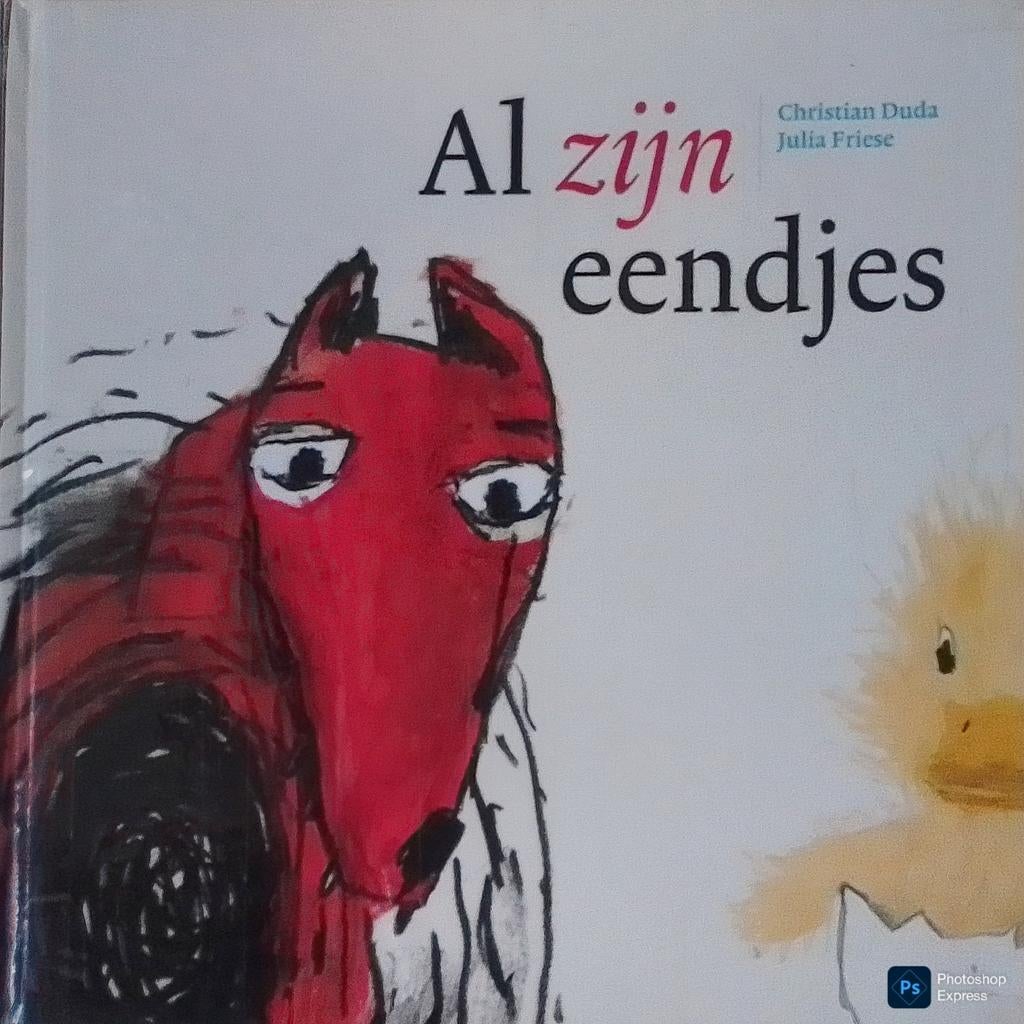 Al Zijn Eendjes, Boeken, Gelezen, Fictie algemeen, Jongen of Meisje, Christian Duda/Julia Friese.