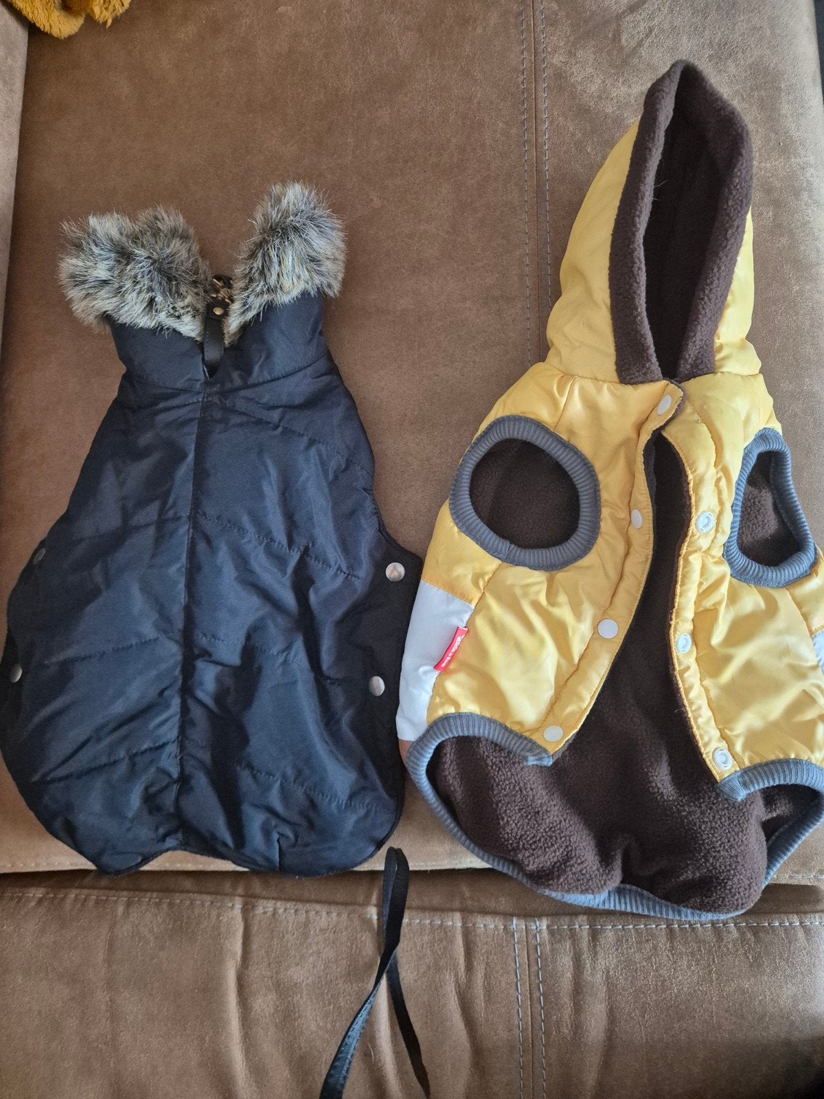 teckel/ kleine honden jasjes, Ophalen of Verzenden, Zo goed als nieuw