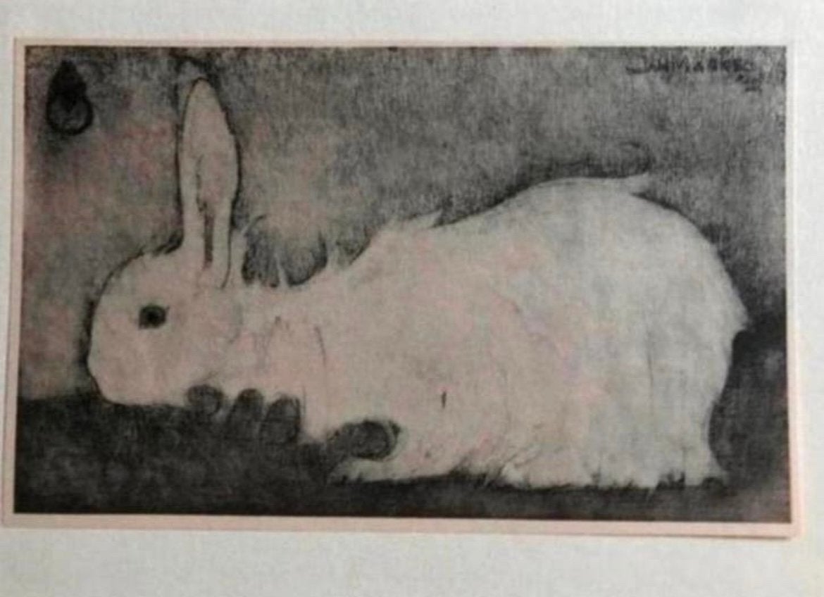 Jan Mankes 1889-1920 / Heliogravure Wit Konijntje 1927, 10 cm, Verzenden, 19 cm, Gravure