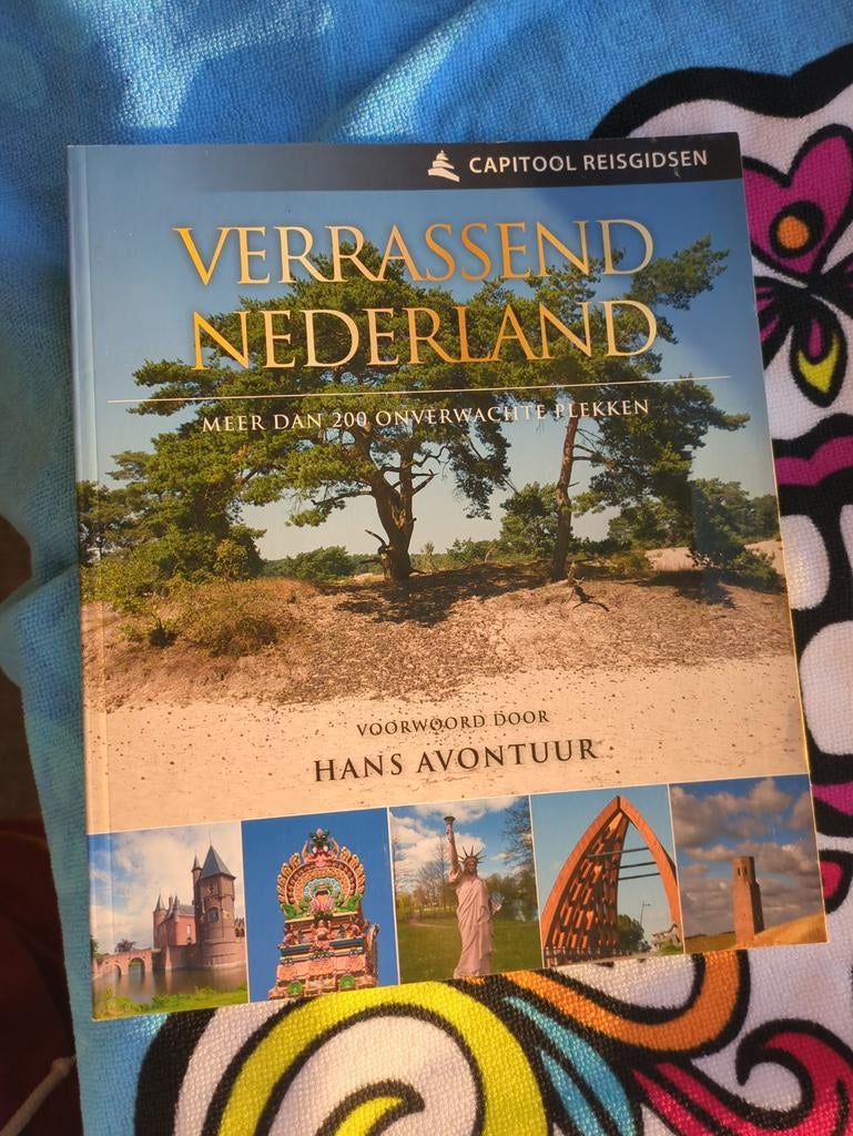 Capitool Reisgids: Verrassend Nederland, Boeken, Reisgidsen, Capitool, Ophalen of Verzenden, Zo goed als nieuw, Reisgids of -boek