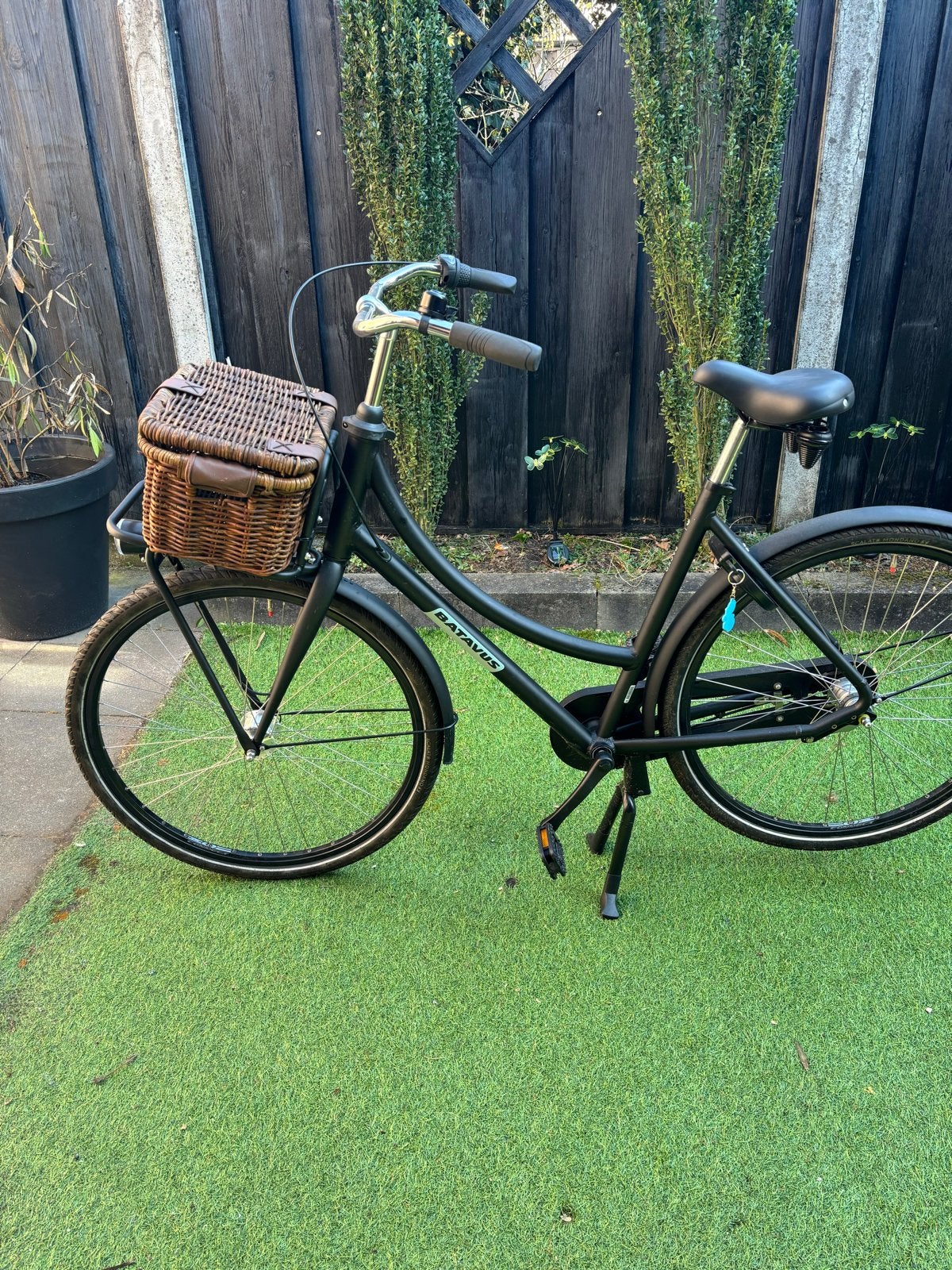 Batavus Damesfiets met mandje, Ophalen, 53 tot 56 cm, Versnellingen, Batavus