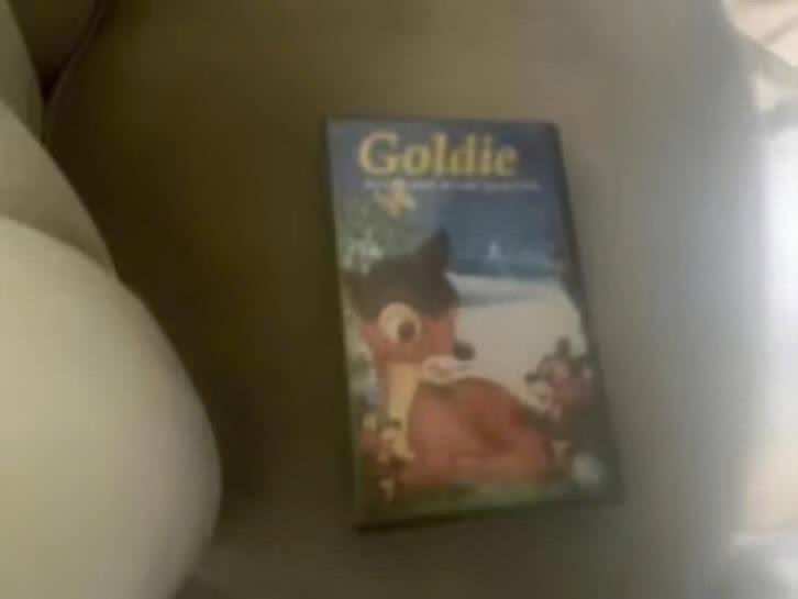 goldie dvd, Verzenden, Zo goed als nieuw