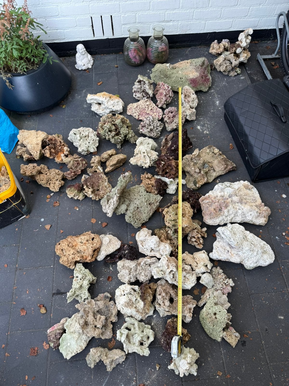 Zee aquarium stenen +100 kg unieke stukken., Ophalen, Zo goed als nieuw, Plant(en), Steen of Hout