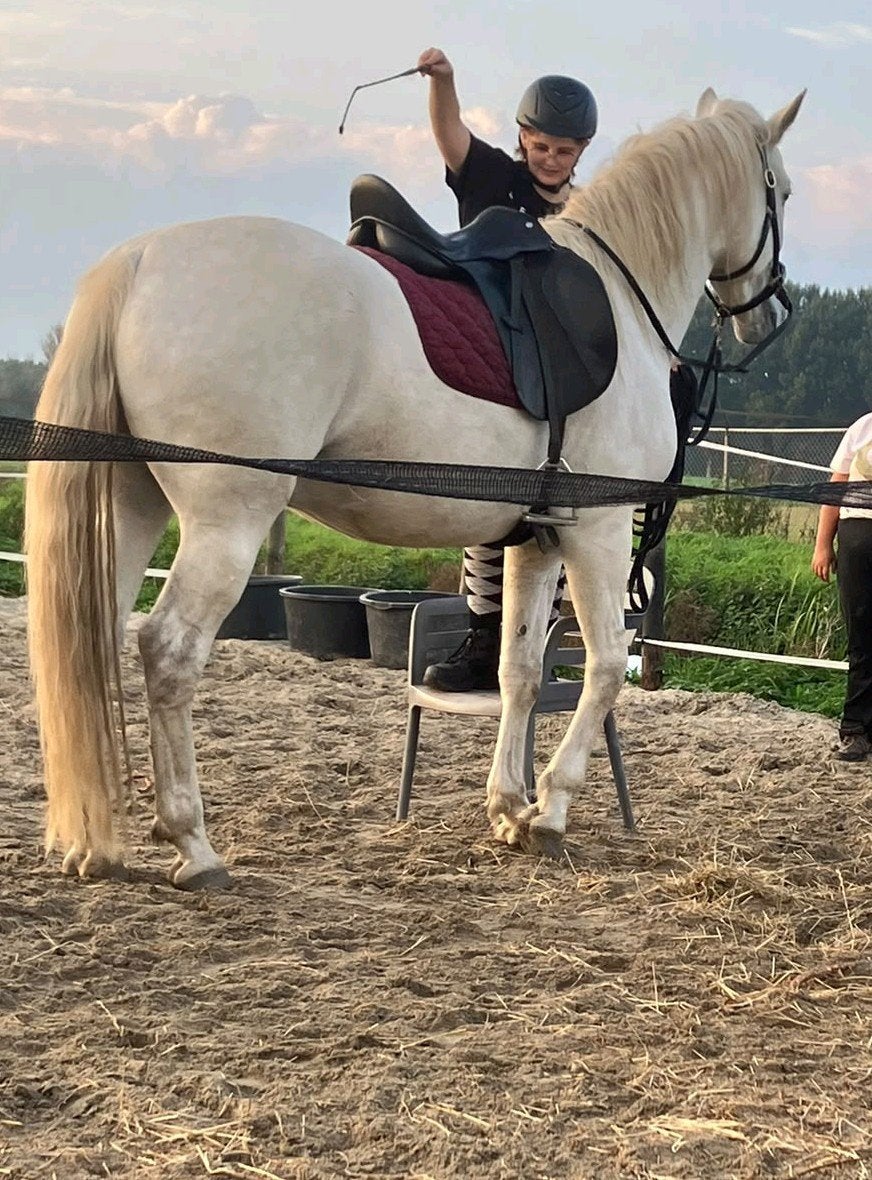 9jarige spaanse ruin (kent de basis maar nog niet zadelmak), Dieren en Toebehoren, Merrie, E pony (1.48m - 1.57m), 0 tot 2 jaar