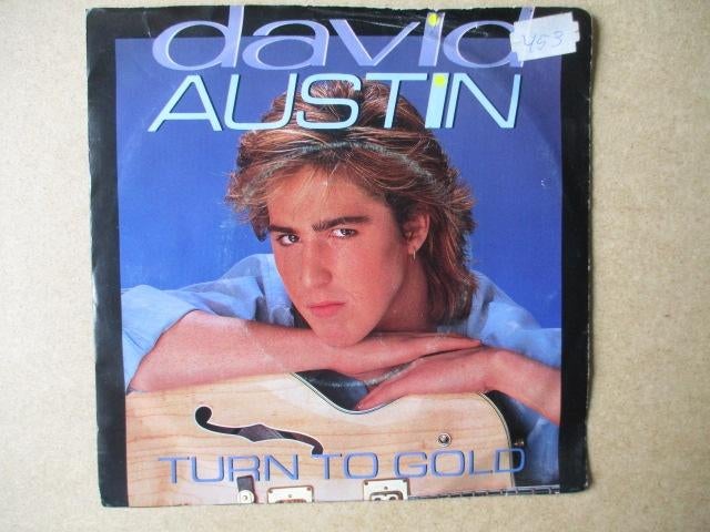 s0735 david austin - turn to gold, Ophalen, Gebruikt, Overige genres