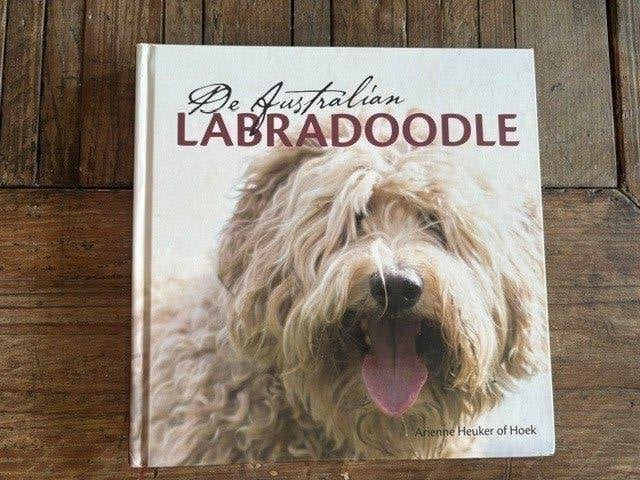 De Australian Labradoodle: Arienne Heuker of Hoek, Ophalen of Verzenden, Zo goed als nieuw, Honden