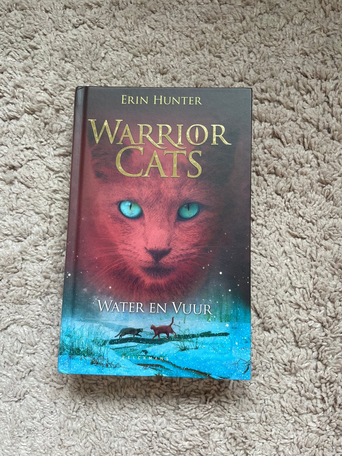 Warrior Cats boek 2 serie 1, Ophalen of Verzenden, Zo goed als nieuw, Fictie