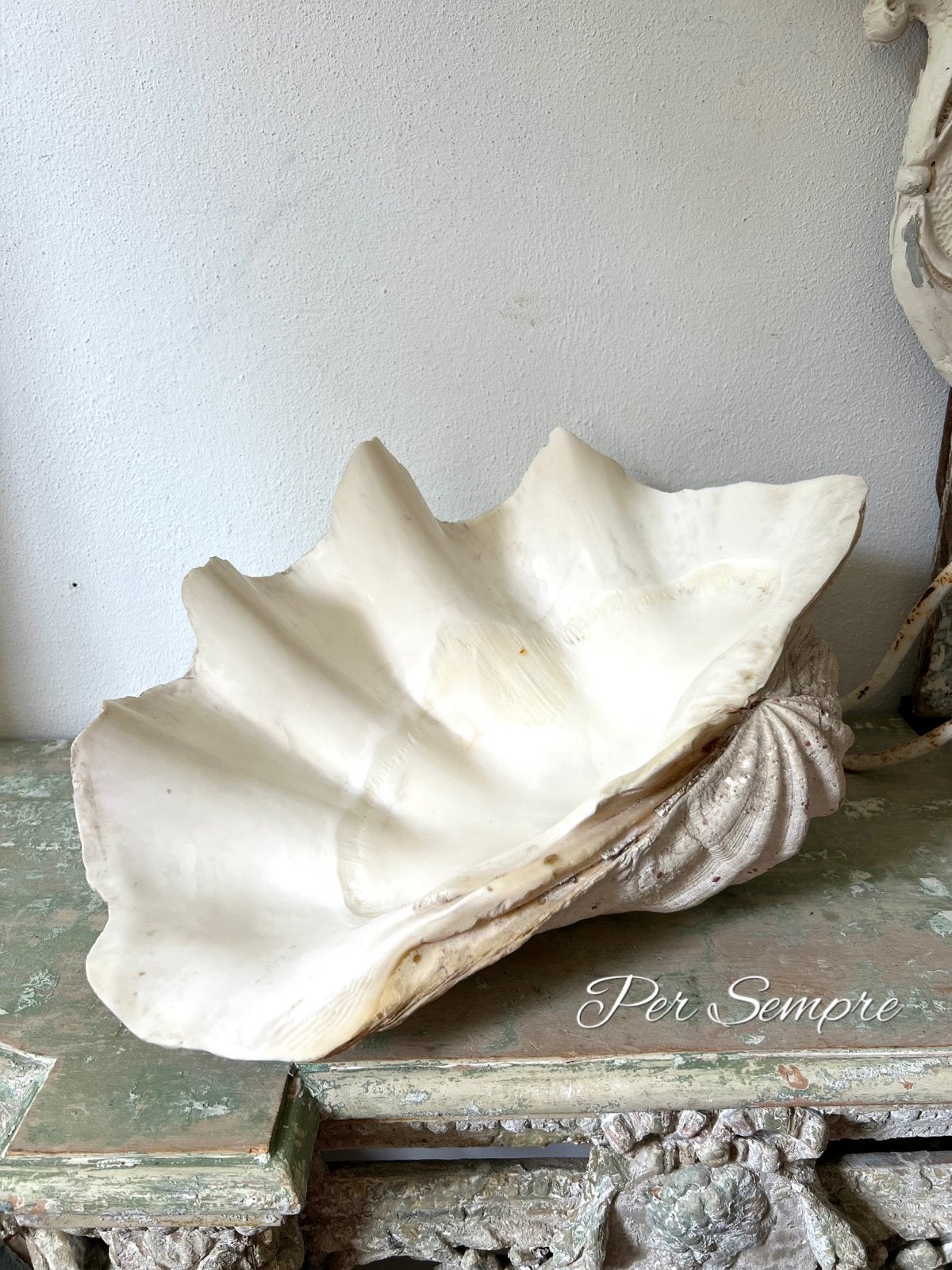 Per Sempre, Prachtige Grote Doopvontschelp 44 cm, Antiek en Kunst, Verzenden