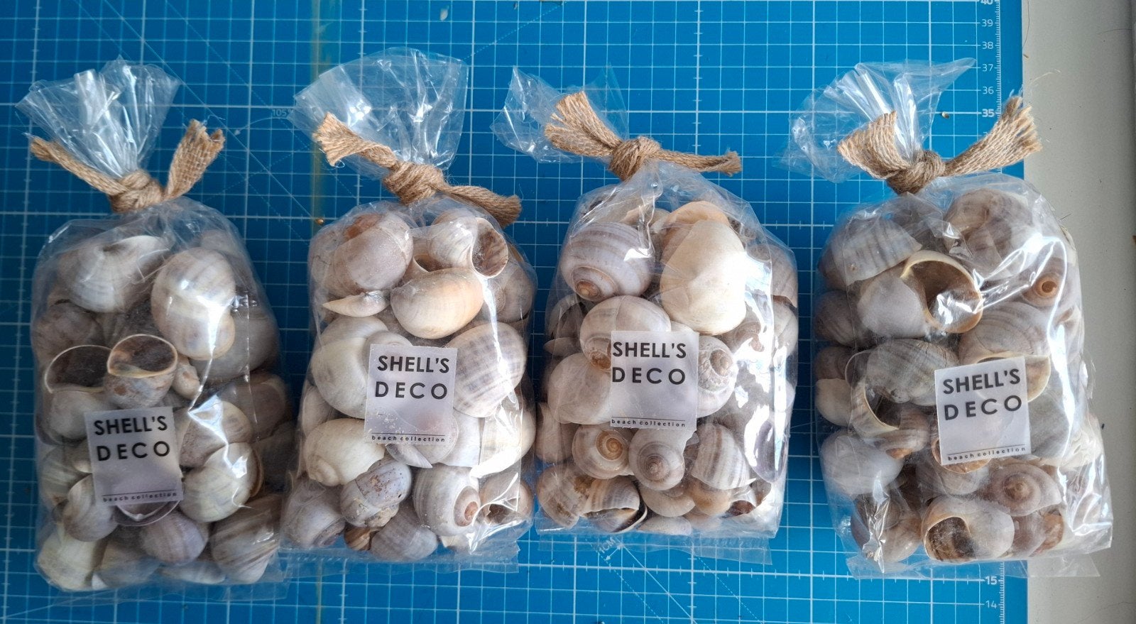 te koop 4  nieuwe verpakkingen decoratie schelpen, Ophalen of Verzenden, Nieuw, Schelpendecoratie, Natuurlijk materiaal