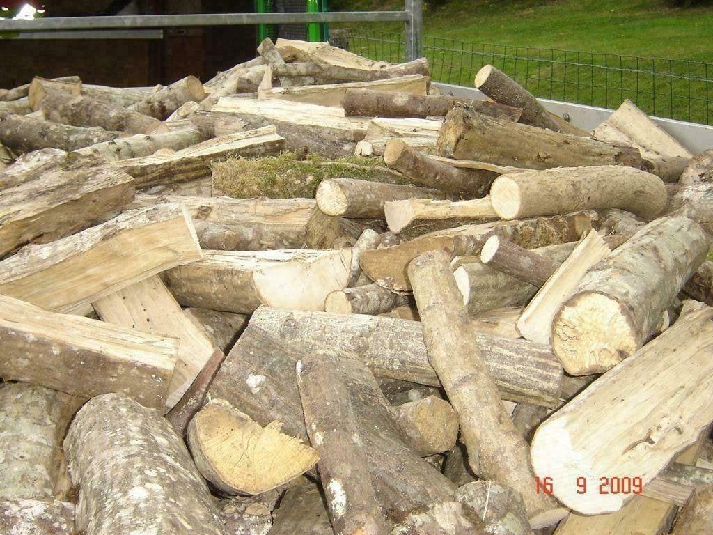 Super droog openhaardhout  Eiken / Essen Gratis gebracht, Minder dan 3 m³, Ophalen of Verzenden, Essenhout, Blokken