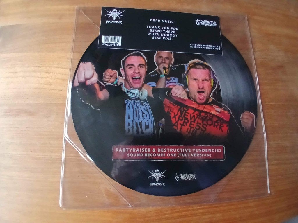 Partyraiser & Destructive Tendencies - Sound Becomes One, Cd's en Dvd's, Ophalen of Verzenden, Picture disc, 12 inch, Dance Populair