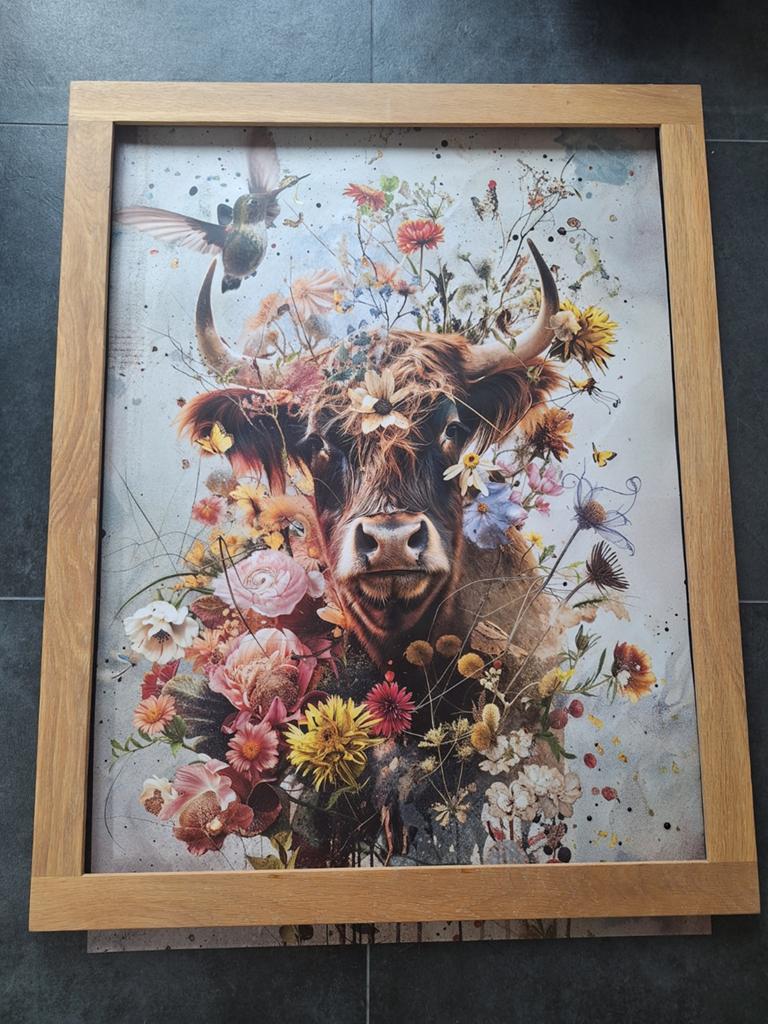 Houten lijst met poster schotse hooglander, Ophalen, Hout