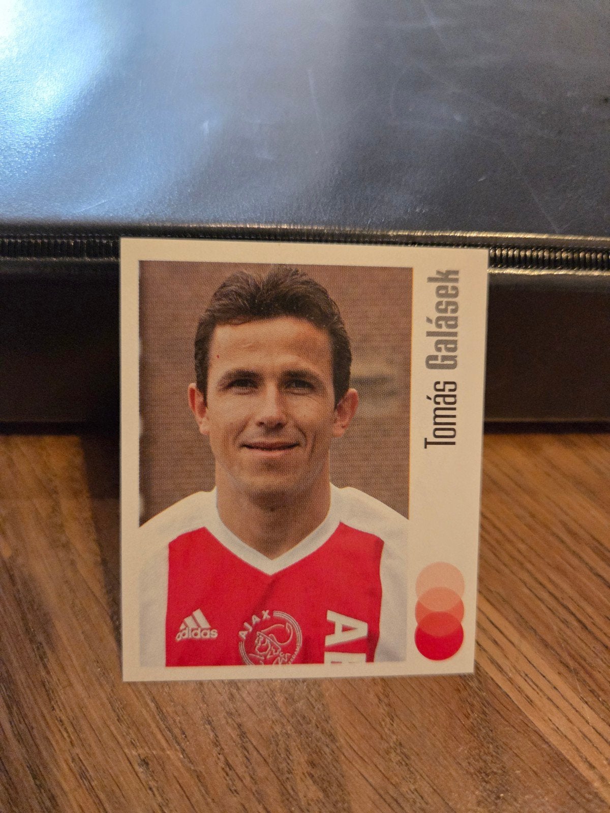 Panini Voetbal 04, Verzamelen, Sportartikelen en Voetbal, Ophalen of Verzenden, Zo goed als nieuw, Ajax, Poster, Plaatje of Sticker
