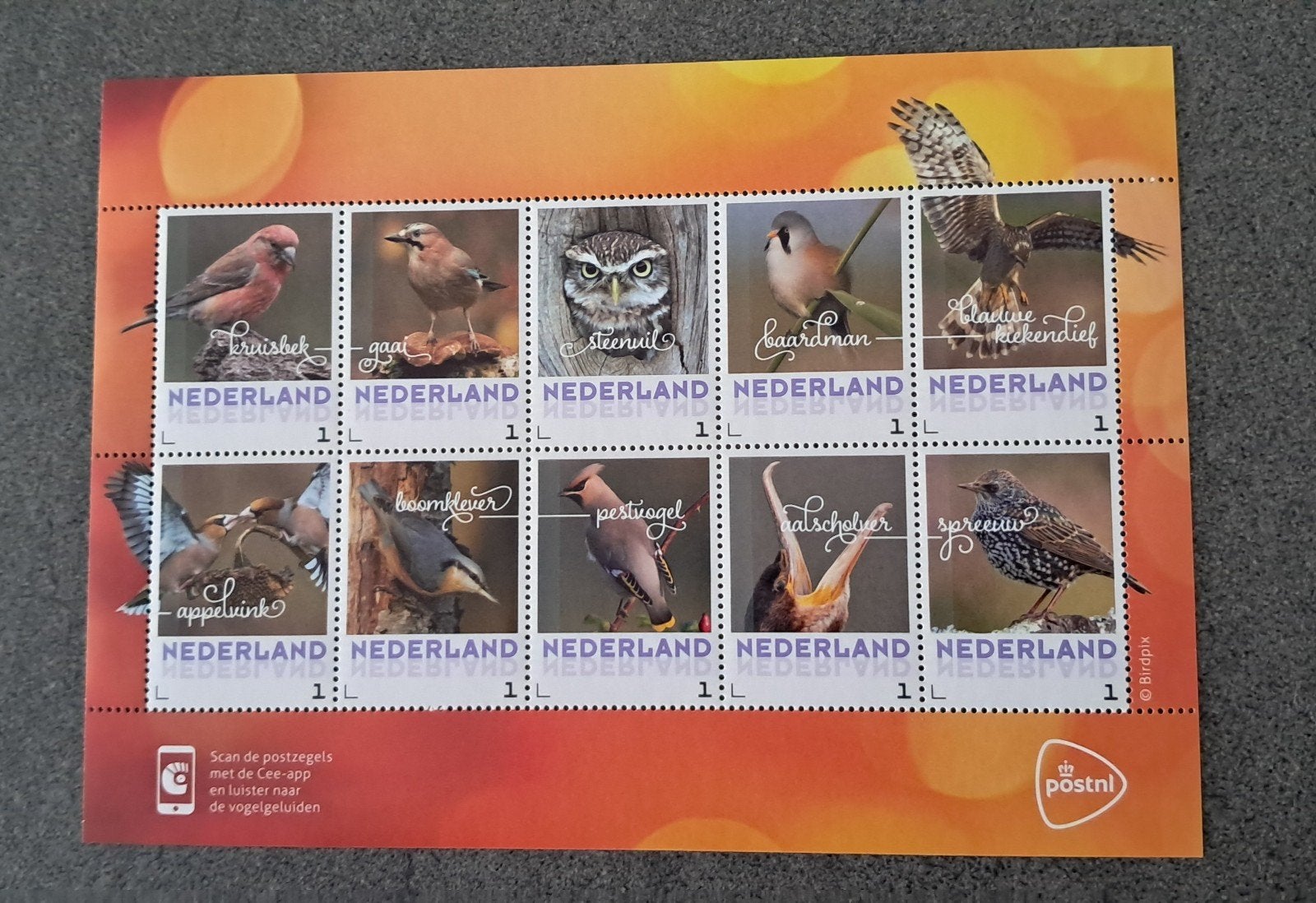 2017 - postzegelvel herfstvogels - postfris, Postzegels en Munten, Ophalen of Verzenden, Na 1940, Postfris