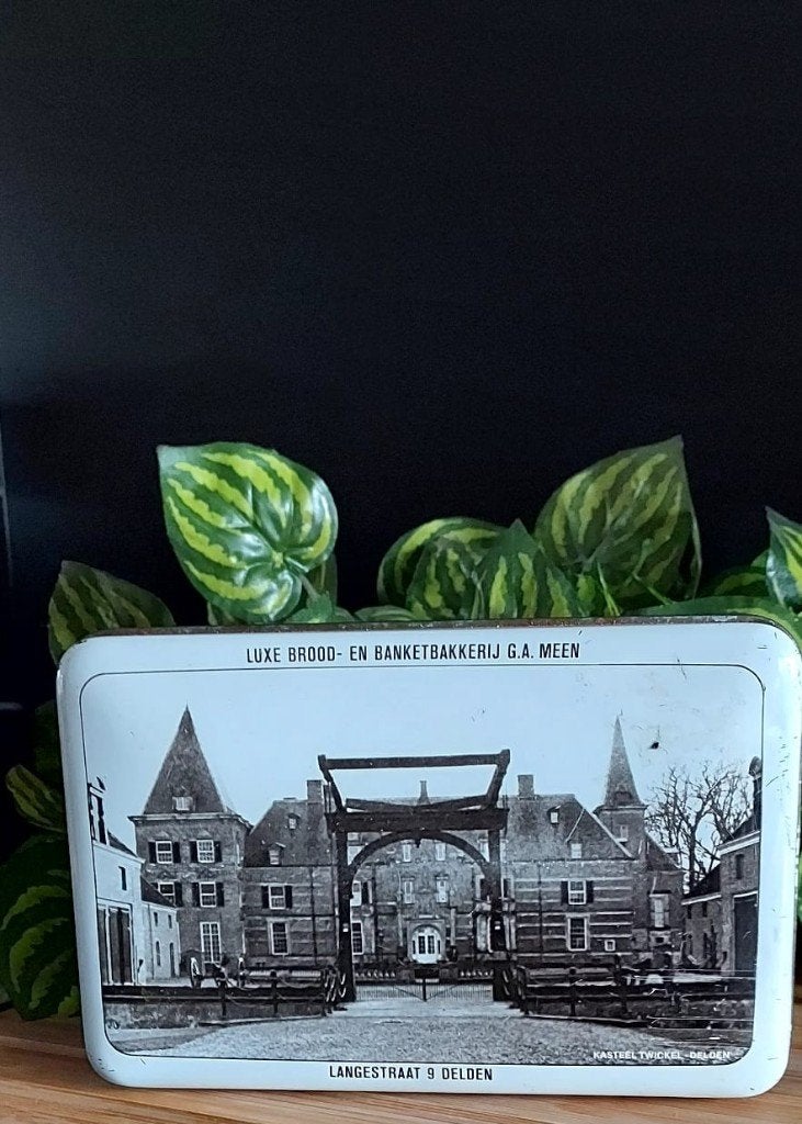 Blik Kasteel Twickel in Delden, Ophalen of Verzenden, Noord-Brabant