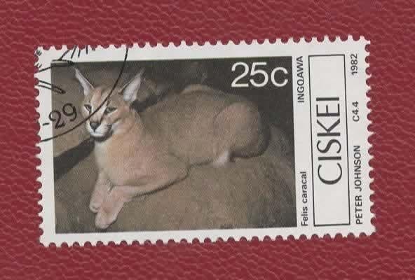 Katachtigen -  Ciskei - 33 (2) - Caracal - gebr, Verzenden, Gestempeld, Dier of Natuur