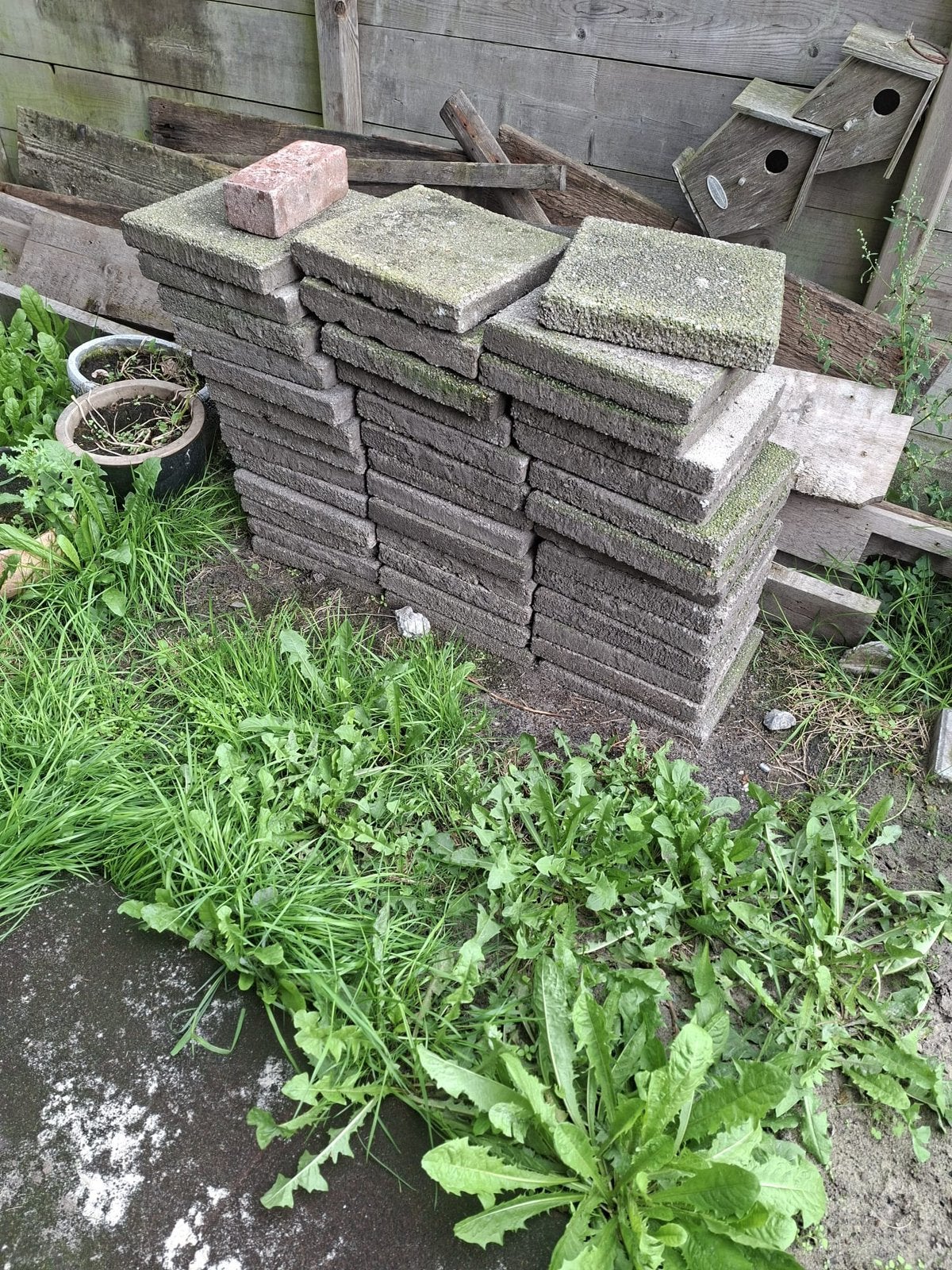 Gratis af te halen stoeptegels 30x30 normaal en dik, Ophalen, Gebruikt, Minder dan 5 m², Beton