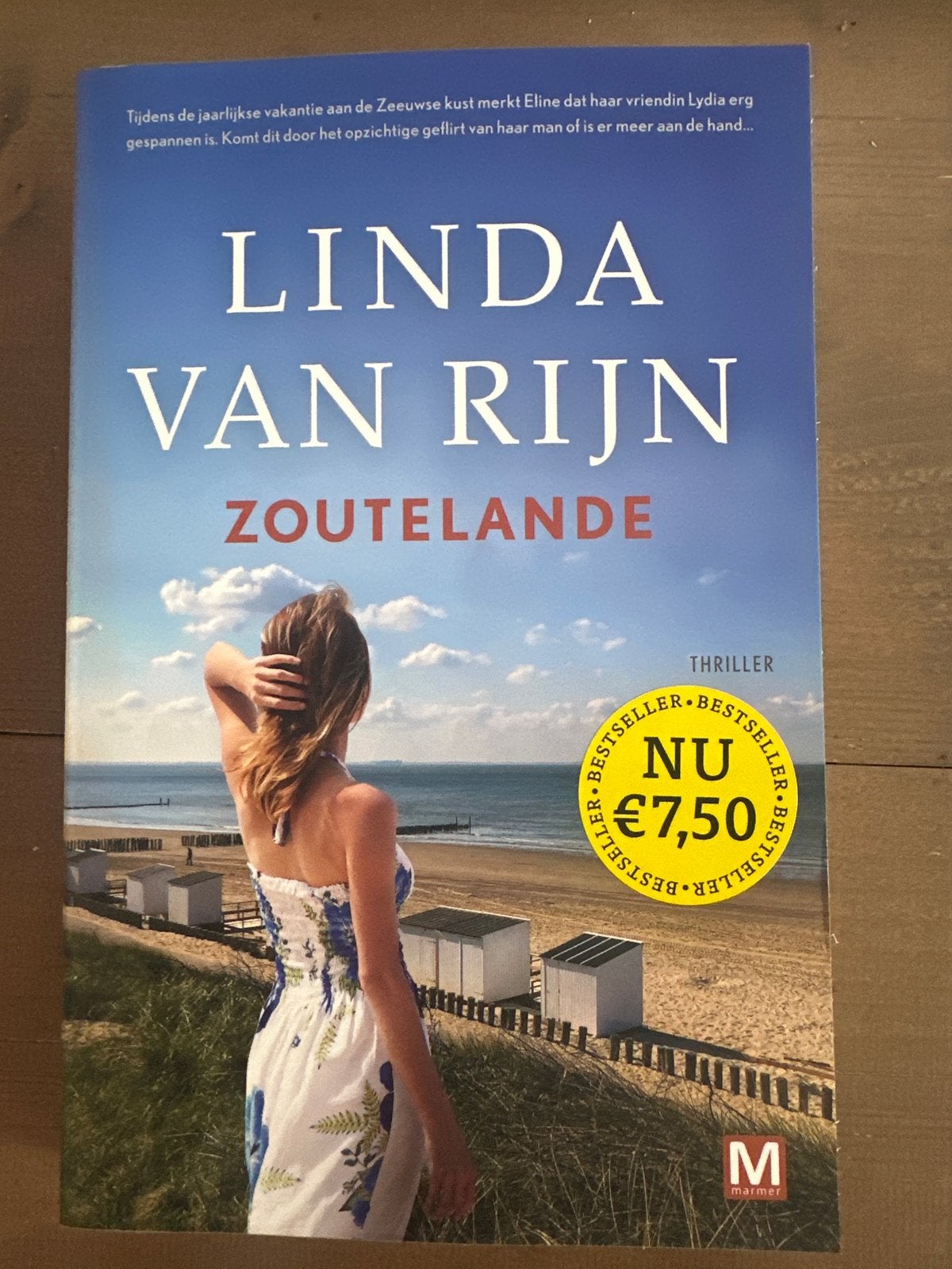 Linda van Rijn - Zoutelande (Thriller), Boeken, Ophalen of Verzenden, Zo goed als nieuw, Nederland