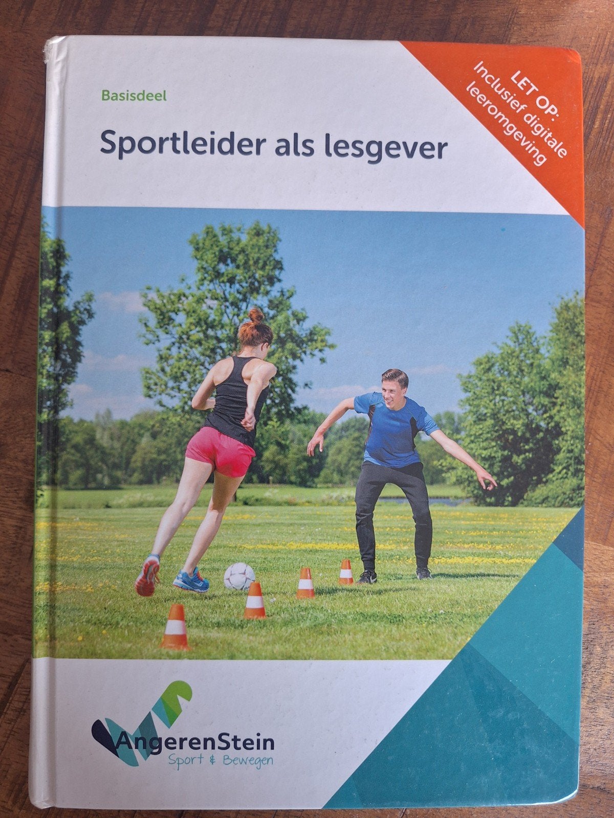 Sportleider als lesgever - Angerenstein Sport & Bewegen, Ophalen of Verzenden, Zo goed als nieuw, MBO, Gamma