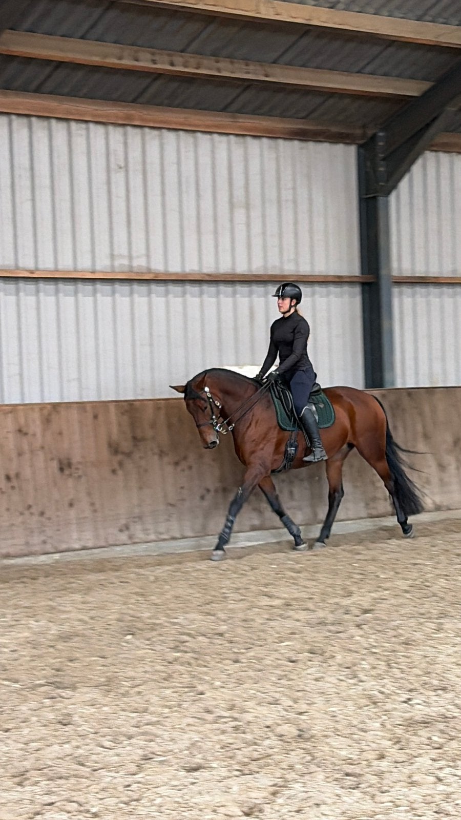 Lieve 9 jarige Lusitano merrie, Dieren en Toebehoren, Merrie, Dressuurpaard, 7 tot 10 jaar, 165 tot 170 cm
