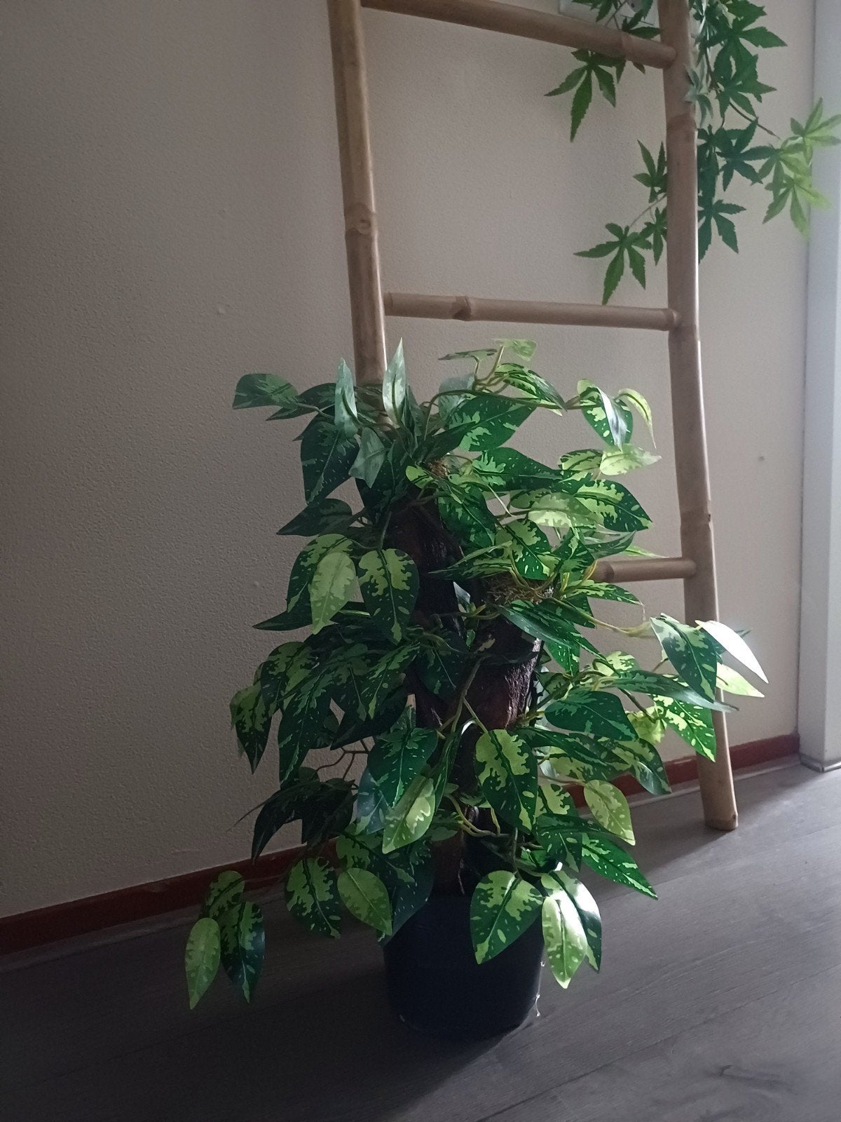 Realistische kunstplant/boom met echte houten stam, 55 cm, Kunstplant, Nieuw, Ophalen of Verzenden, Hout