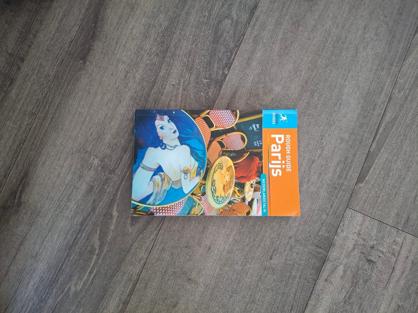 Rough Guide Parijs - Nederlandstalig, Boeken, Reisgidsen, Gelezen, Reisgids of -boek, Europa, Rough Guide, Ophalen of Verzenden