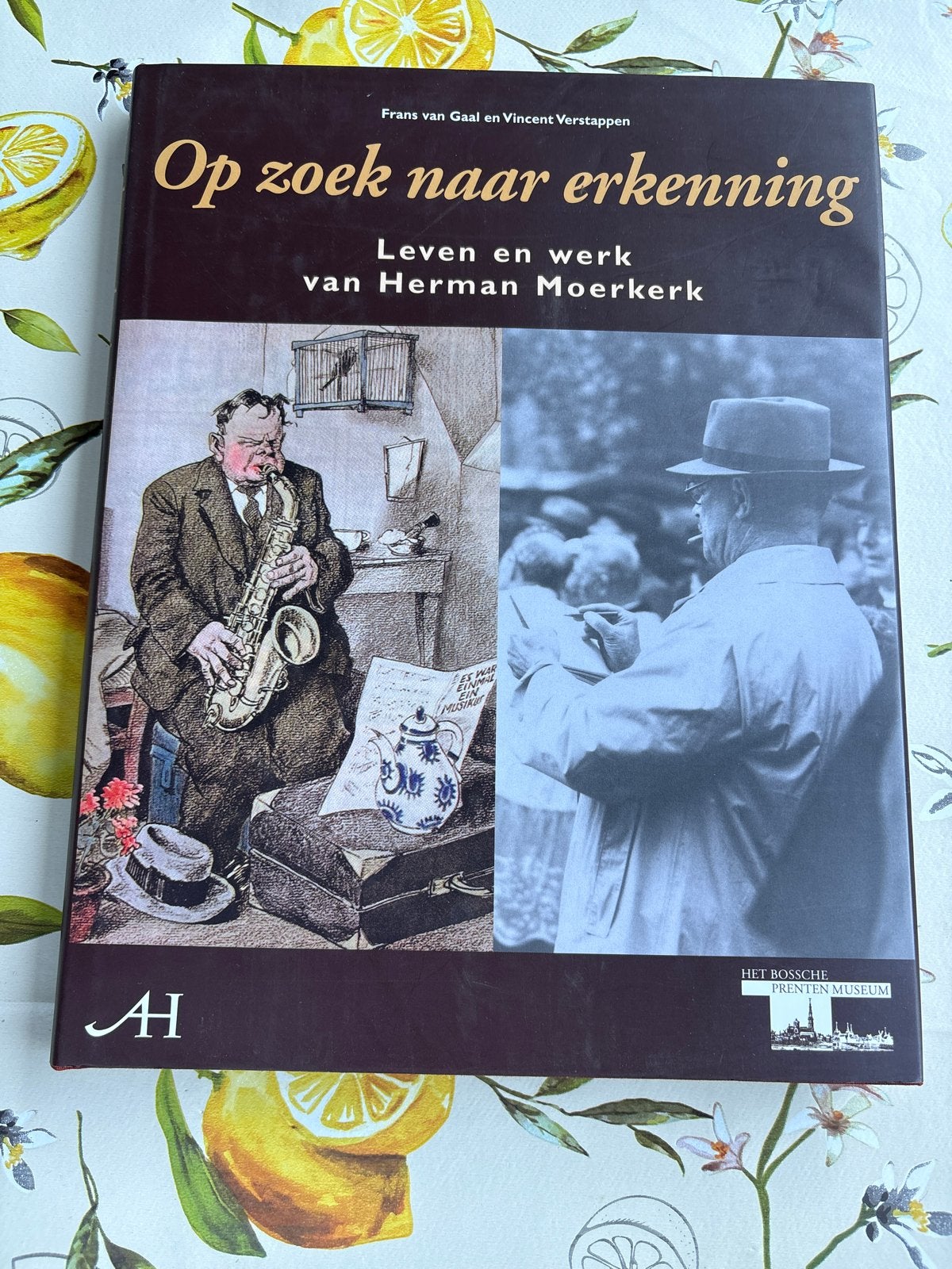 Op zoek naar erkenning: Leven en werk van Herman Moerkerk, Ophalen of Verzenden, Zo goed als nieuw, Overige onderwerpen