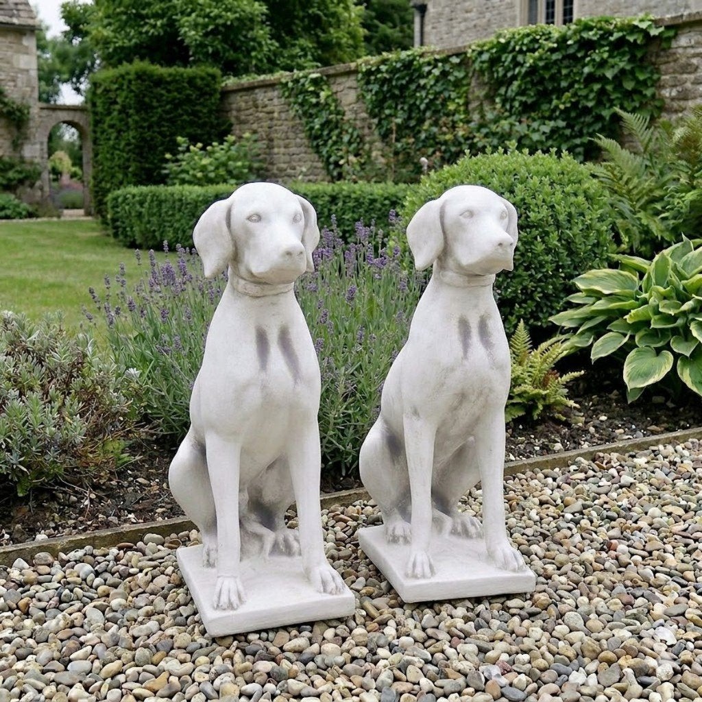 Hond van beton tuinbeeld Pointer Weimaraner Jachthond, Ophalen, Nieuw, Beton, Dierenbeeld