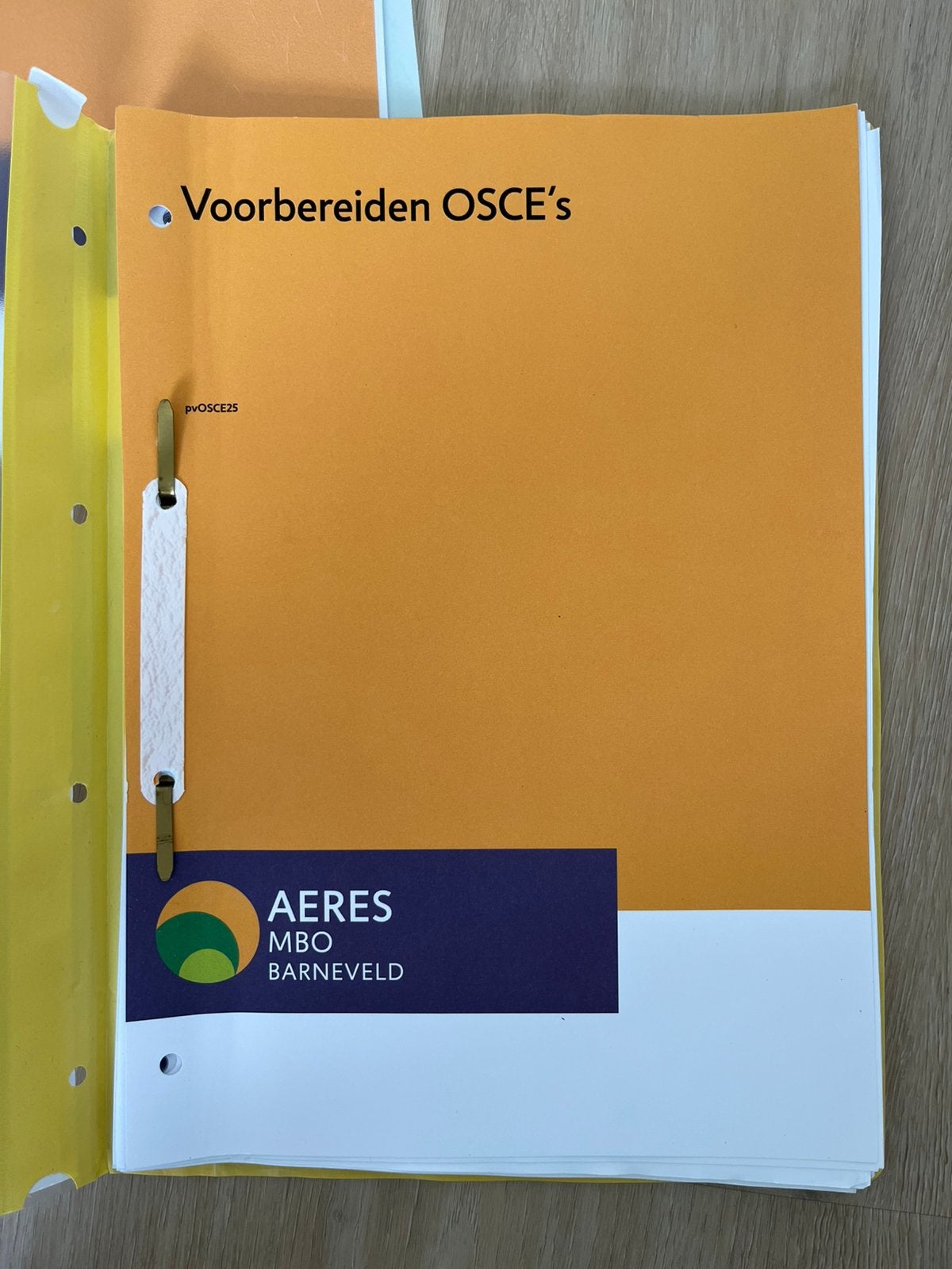 Voorbereiden osces aeres mbo barneveld, Ophalen of Verzenden, Zo goed als nieuw