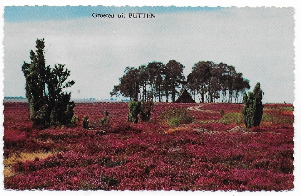 Putten de heide Gelopen Ansichtkaart ( B7263 ), Ophalen of Verzenden, 1940 tot 1960, Gelopen, Gelderland