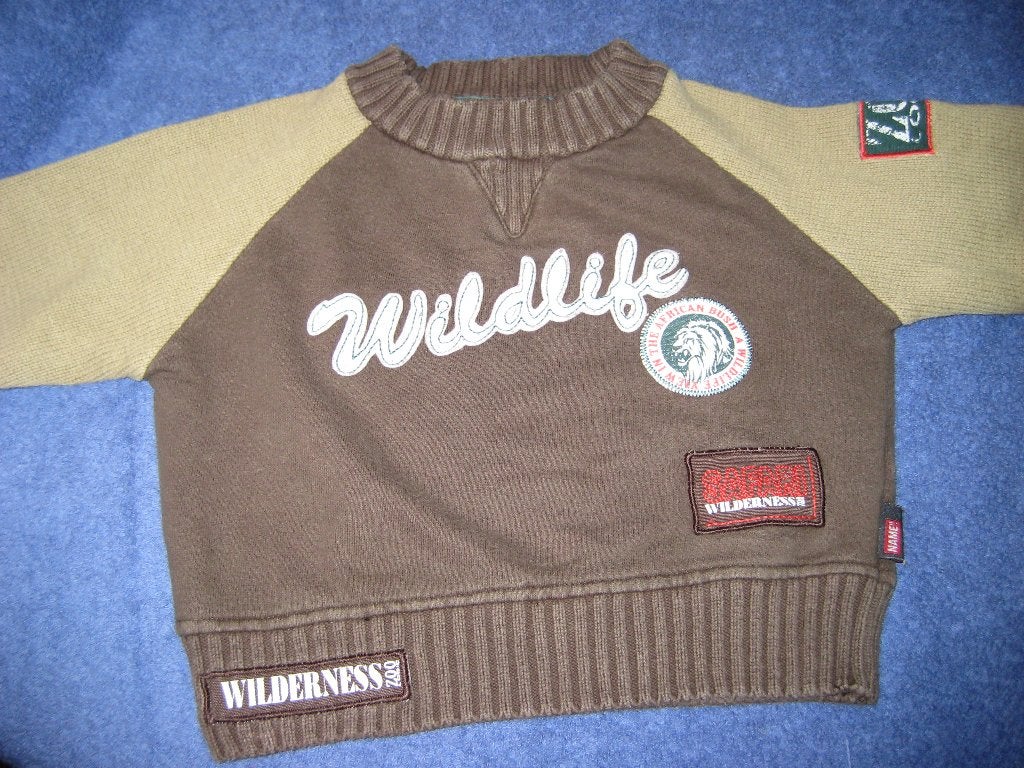 Bruin/beige trui, 62, name it, Kinderen en Baby's, Babykleding | Maat 62, Ophalen of Verzenden, Zo goed als nieuw, Jongetje, Truitje of Vestje