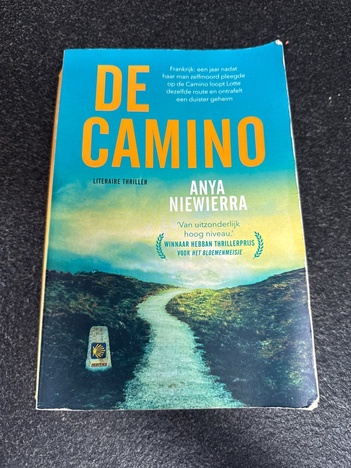 Anya Niewierra - De Camino, Boeken, Ophalen of Verzenden, Zo goed als nieuw, Nederland, Anya Niewierra