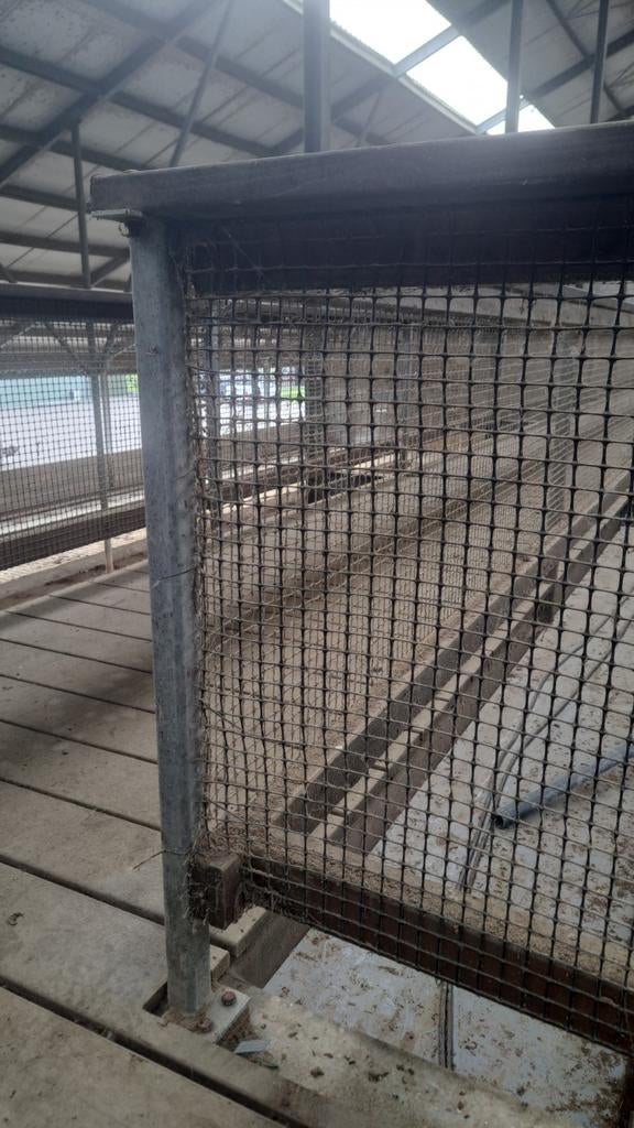 Loopbrug voor koeienstal - 80m lang, 1.5m breed, Ophalen of Verzenden, 4 meter of meer