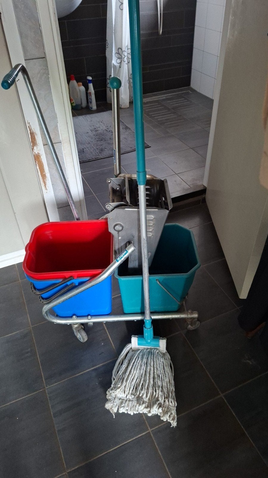 Professionele dweilwagen met emmers en mop, Ophalen, Dweilemmer, -bak, of -wagen