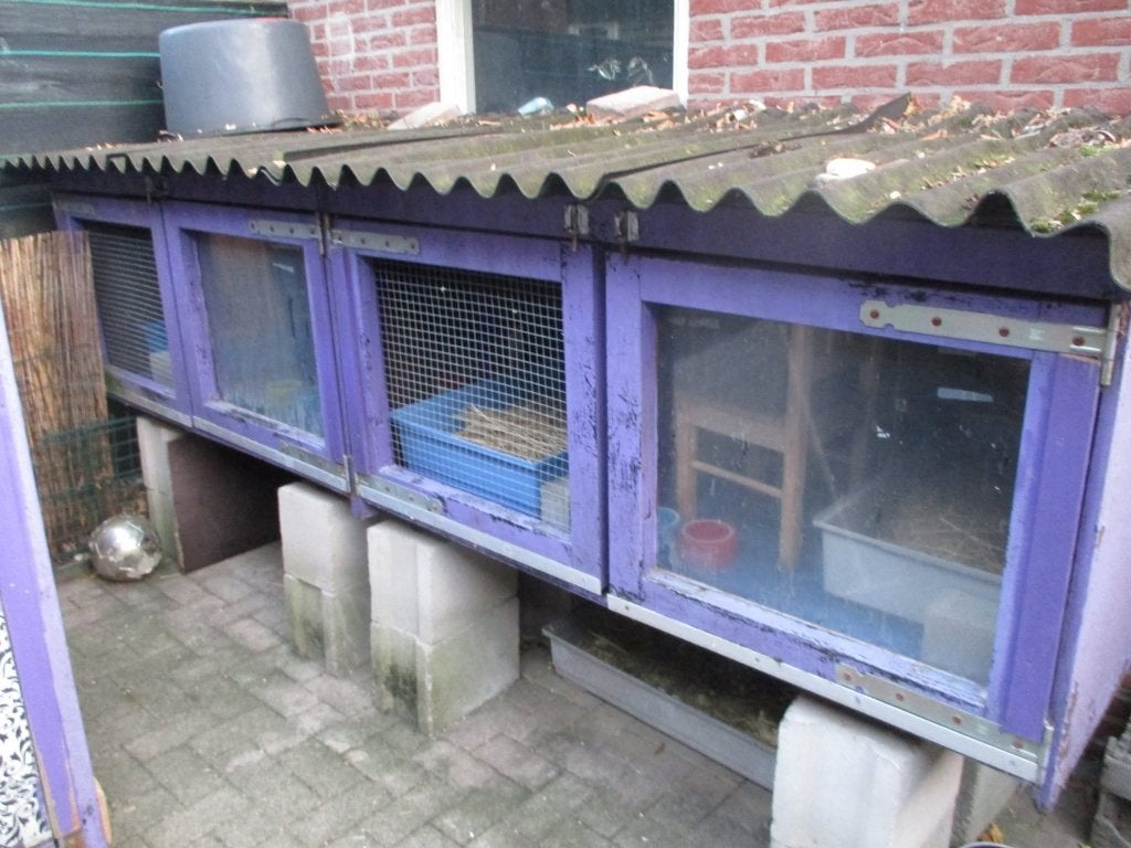 Gratis, konijnenhok, Ophalen, Gebruikt, 60 tot 90 cm, Cavia