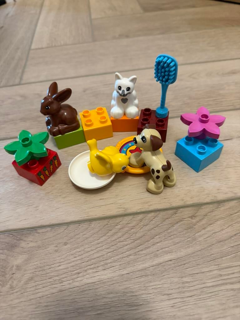 LEGO Duplo 10808 huisdieren, Gebruikt, Overige thema's, Ophalen of Verzenden, Compleet