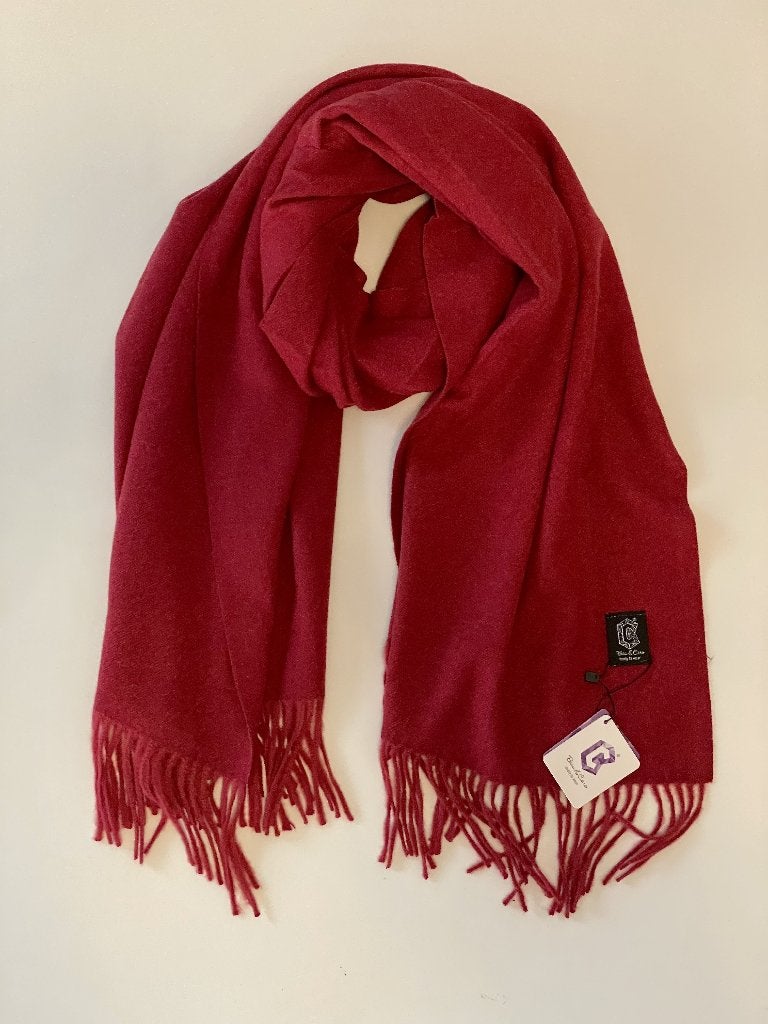 Nieuwe bordeaux warme extra grote herfstsjaal van Beau&Caro, Kleding | Dames, Maat 46/48 (XL) of groter, Nieuw, Ophalen of Verzenden