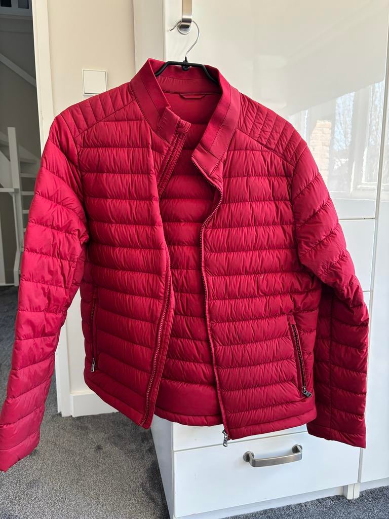 McGregor rode jas maat 52 - perfect voor zomer/tussenseizoen, Ophalen of Verzenden, Gedragen, Maat 52/54 (L), Rood