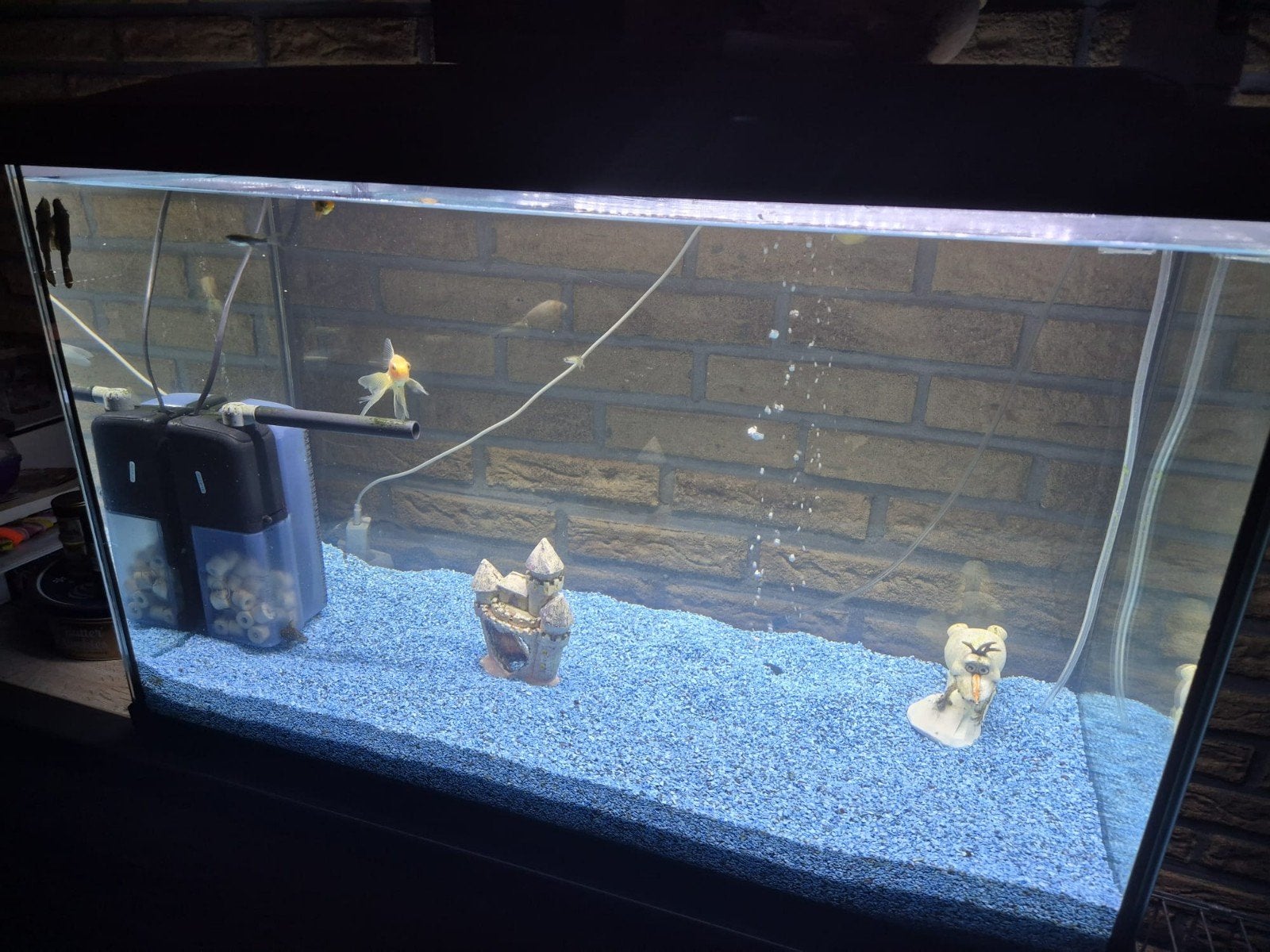 aquarium zwart:  lengte 78cm hoogte 50cm breedte 40cm, Ophalen, Gebruikt, Overige typen, Minder dan 75 cm