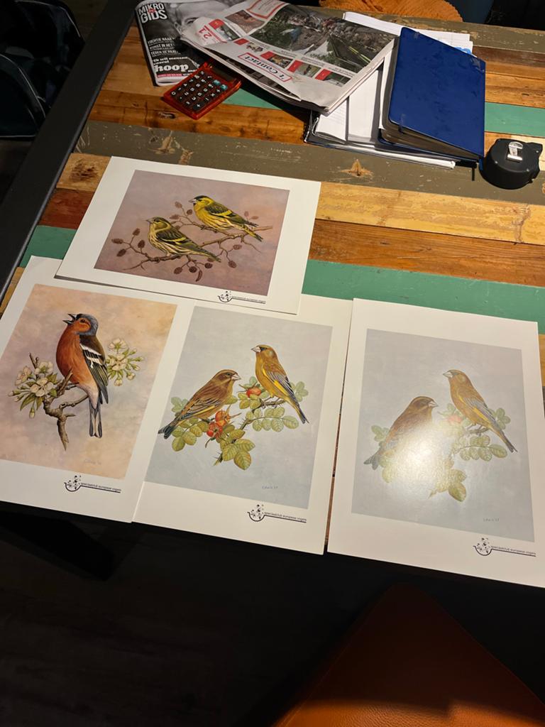 4 Oude Vogelprenten Speciaalclub Onze Vogels (1968-1970), Ophalen of Verzenden