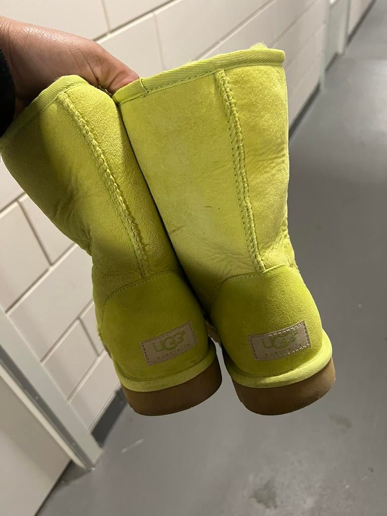 Classic short uggs ugg w9 40 origineel, Kleding | Dames, Schoenen, Ophalen of Verzenden, Zo goed als nieuw, Groen