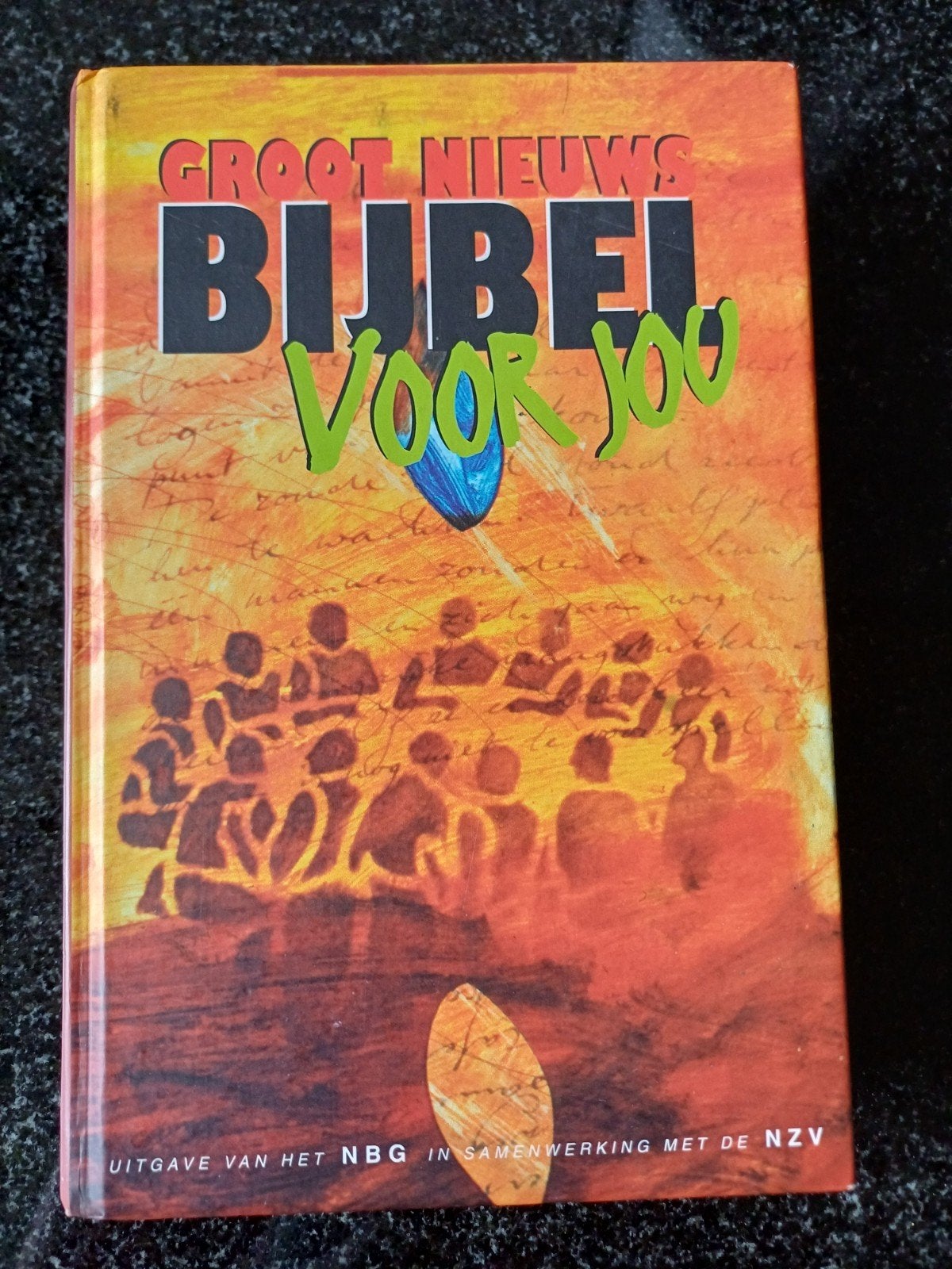 Groot Nieuws Bijbel voor Jou - NBG/NZV, Boeken, Ophalen of Verzenden, Gelezen, Christendom | Protestants