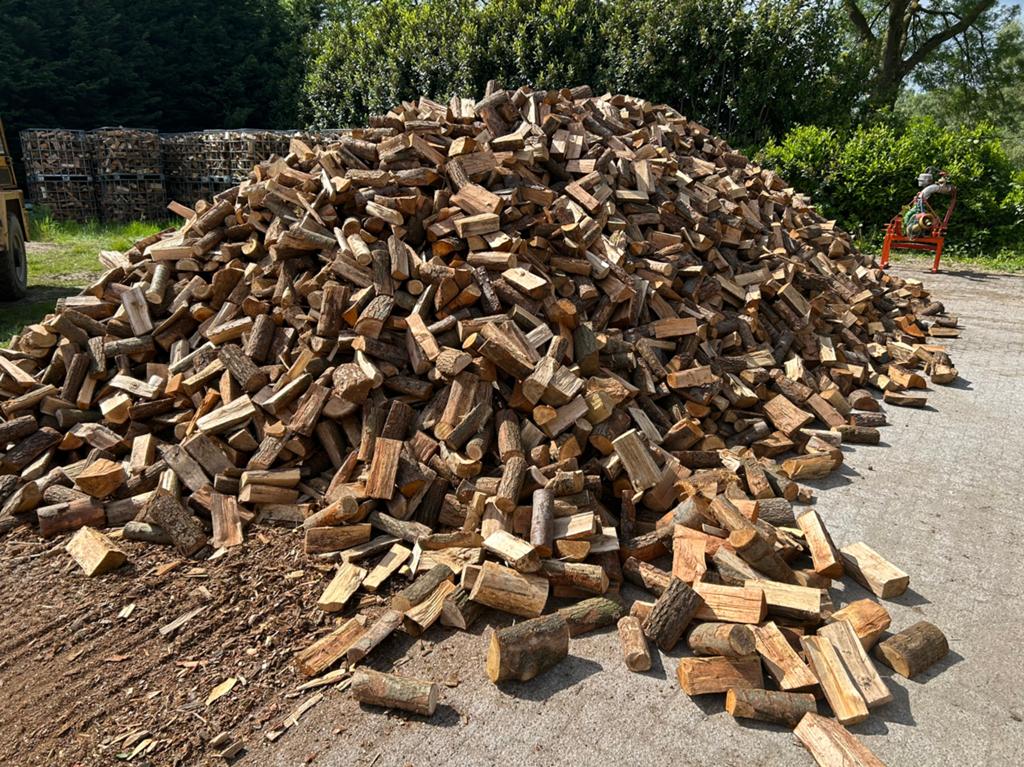 Te koop brandhout., 6 m³ of meer, Ophalen, Eikenhout