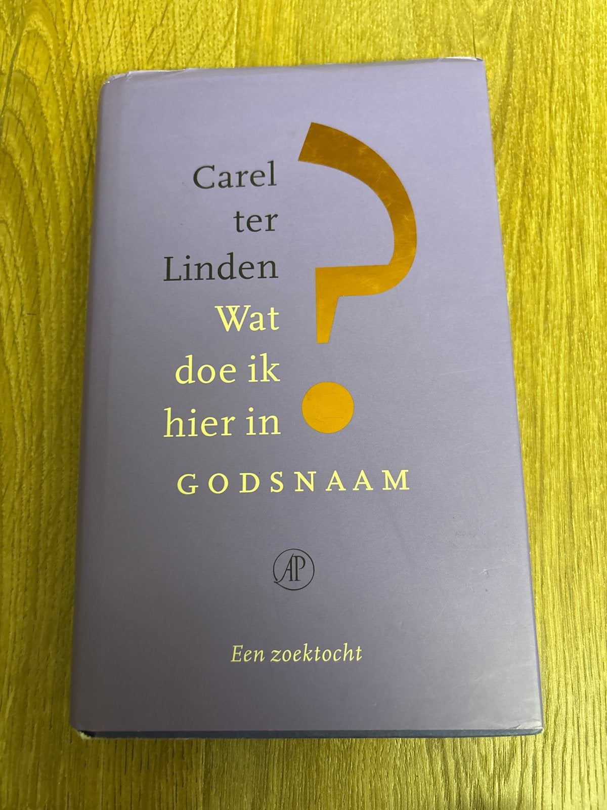 Wat doe ik hier in Godsnaam - Carel ter Linden, Ophalen of Verzenden, Gelezen, Christendom | Protestants